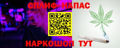 стаф Тверь