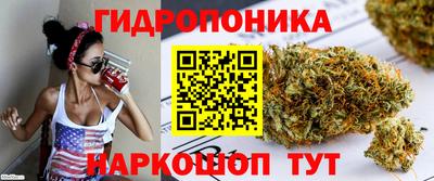 ешки Тара