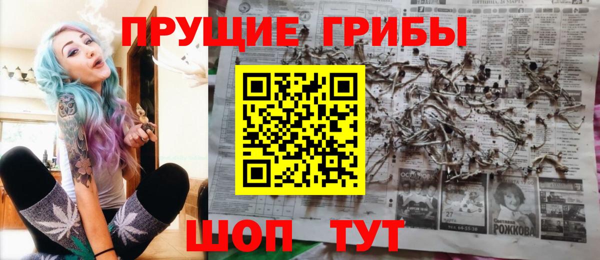 Псилоцибиновые грибы Cubensis Нижний Новгород